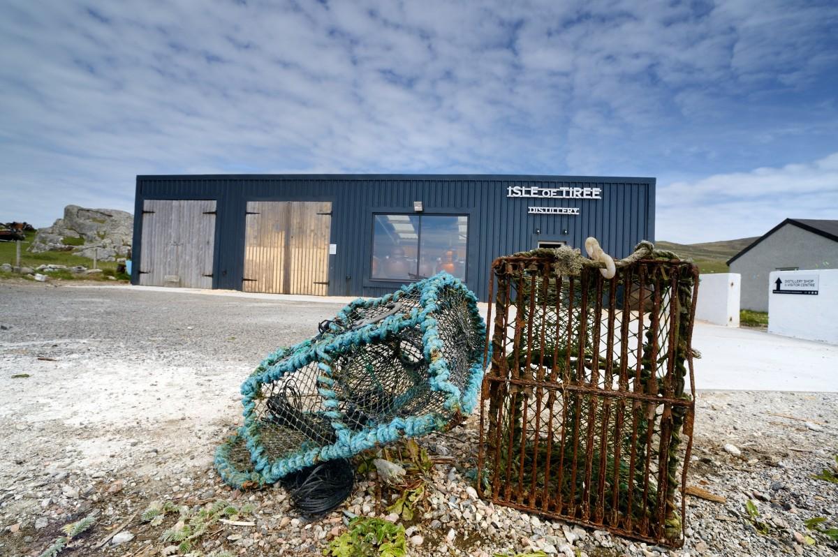 Isle of Tiree Maturation