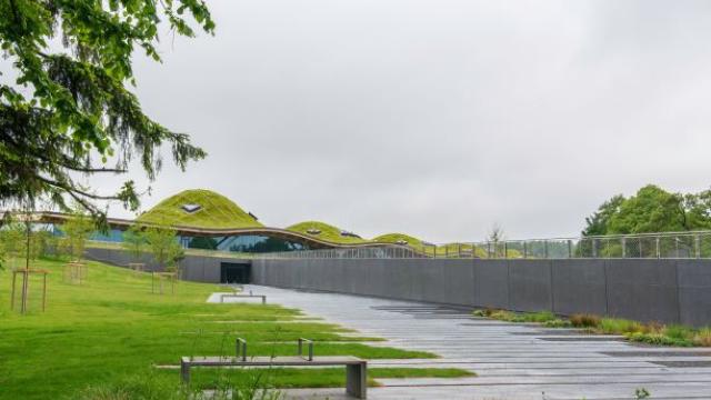 Macallan distillery