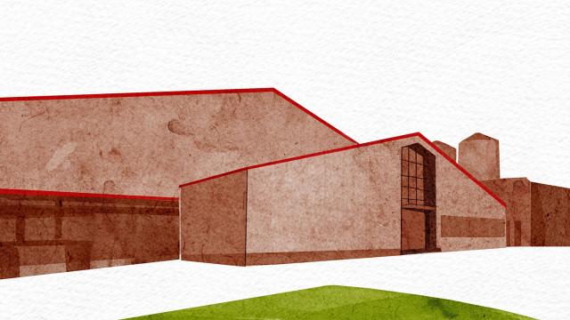 Illustration of Brewdog Distillery